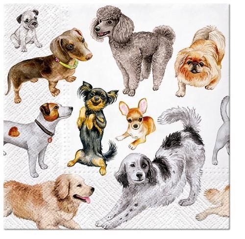 20 Servietten "Hunde" 33cm - Party im Karton