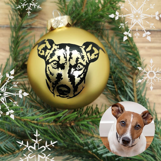 Personalisierte Weihnachtskugel - Haustier - Party im Karton