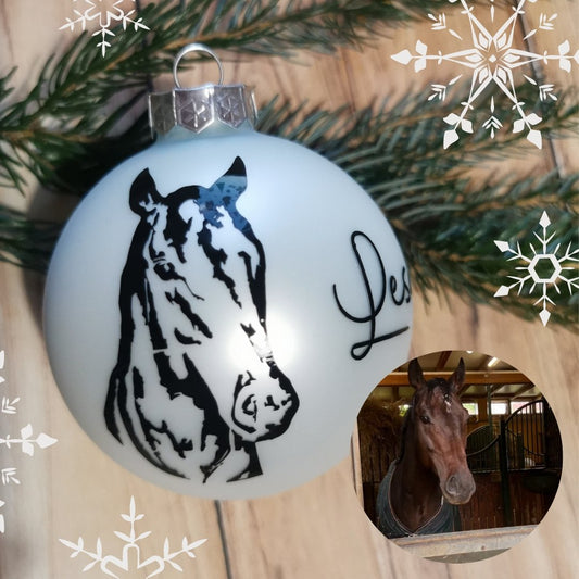Personalisierte Weihnachtskugel - Haustier - Party im Karton