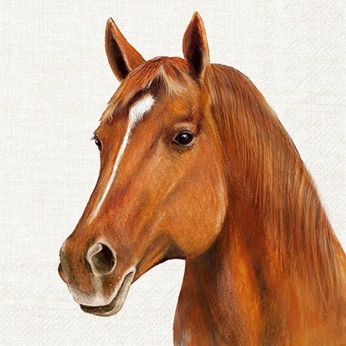 20 Servietten "Braunes Pferd" 33cm - Party im Karton