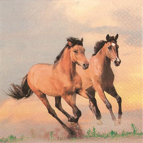 20 Servietten "Wilde Pferde" 33cm - Party im Karton
