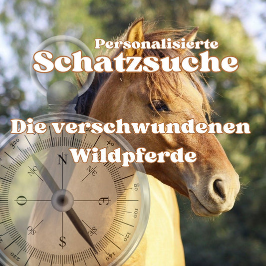 Schatzsuche: Die verschwundenen Wildpferde - Party im Karton