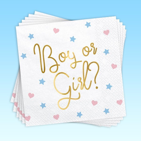Babyparty Gender Reveal "Boy or Girl " 44-teilig - Party im Karton