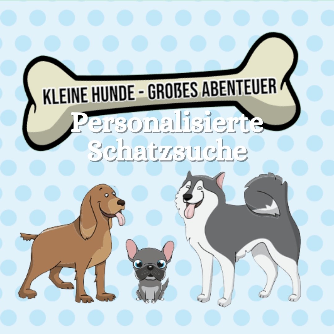 Schatzsuche: Kleine Hunde - Großes Abenteuer - Party im Karton